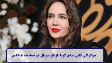 بیوگرافی نگین صدق‌ گویا