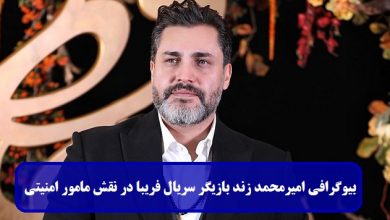 بیوگرافی امیرمحمد زند بازیگر سریال فریبا در نقش مامور امنیتی + عکس بیوگرافی امیرمحمد زند