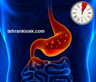 زمان هضم مواد غذایی مختلف زمان هضم مواد غذایی مختلف در معده چقدر است؟ + اطلاعات لازم