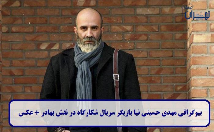 بیوگرافی مهدی حسینی نیا