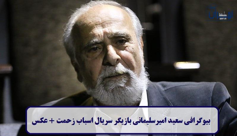 بیوگرافی سعید امیرسلیمانی