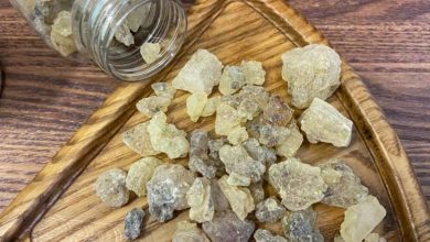 انواع موارد استفاده از کتیرا چیست و چگونه میتوان از خواص آن بهره برد موارد استفاده از کتیرا