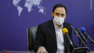 سرعت صدور مجوز مشاغل خانگی ۳۰ برابر مدت مشابه سال قبل شد. سخنگوی دولت