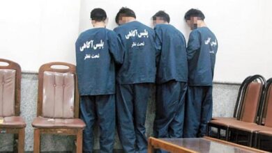 4 مرد سارق وحشی که به خانه زن تنها حمله کردند ! 4 سارق وحشی