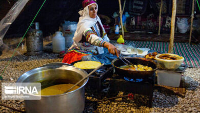 ناز خاتون غذای مجبوب مازندرانی جهانی شده است ناز خاتون بهترین غذای جهانی