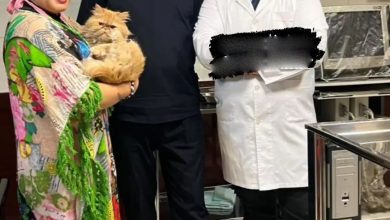 تصاویر جدید از بهاره رهنما در کنار گربه ملوسش دکمه بهاره رهنما در دامپزشکی