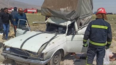 تصادف یک خودرو با شتر در جاده منجر به مرگ راننده شد تصادف ماشین با شتر