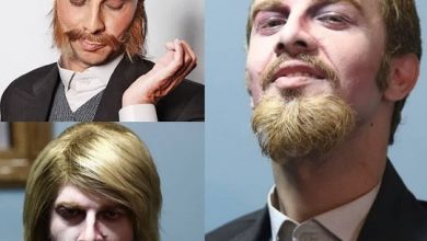بیوگرافی مجتبی شفیعی هنرمند عرصه تئاتر و گوینده + زندگی شخصی اش بیوگرافی مجتبی شفیعی