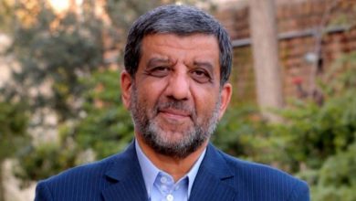 انتشار یک کلیپ از خواننده زن لبنانی توسط ضرغامی، رئیس صدا و سیما که خبرساز شد توئیت ضرغامی دردسرساز شد