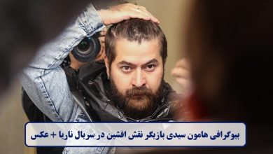 بیوگرافی هامون سیدی بازیگر نقش افشین در سریال ناریا + عکس بیوگرافی هامون سیدی