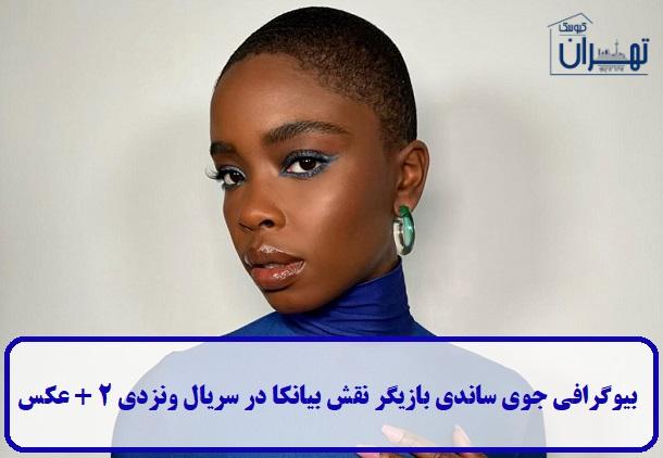 بیوگرافی جوی ساندی 