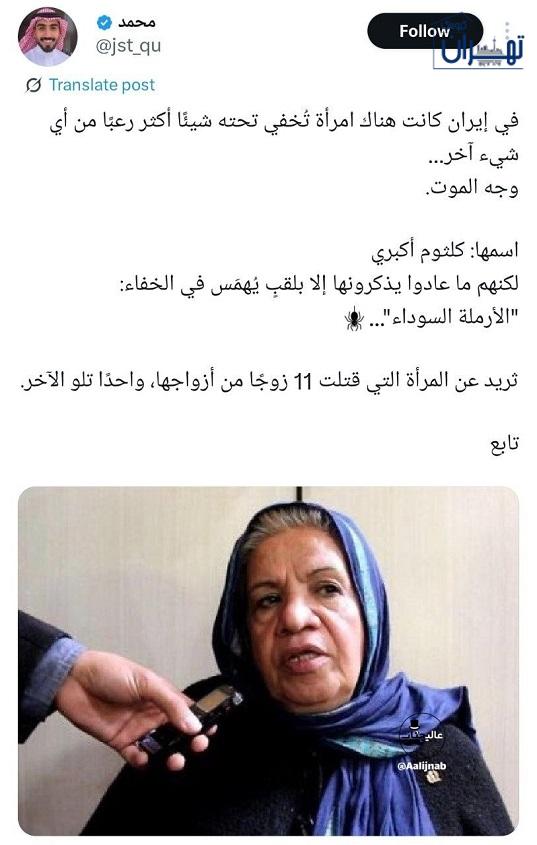 معرفی گیتی معینی به عنوان یک قاتل زنجیره ای معرفی گیتی معینی به عنوان یک قاتل زنجیره ای