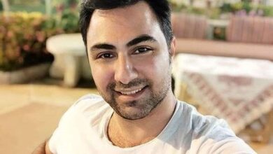 آغاز فعالیت هنری بابک انصاری