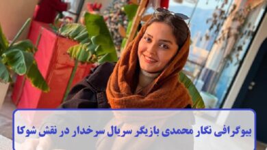 بیوگرافی نگار محمدی