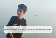 بیوگرافی امیرمحمد حسن پور