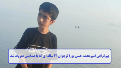 بیوگرافی امیرمحمد حسن پور؛ نوجوان 12 ساله ای که با صدایش معروف شد + فیلم بیوگرافی امیرمحمد حسن پور