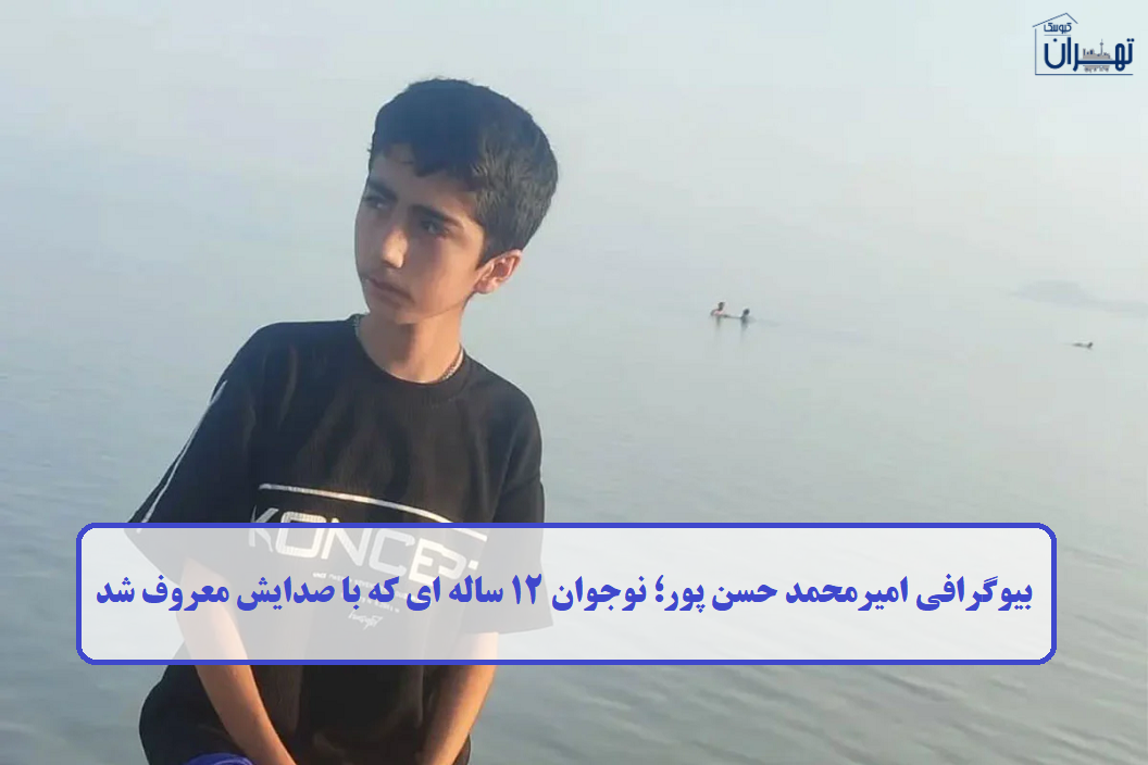 بیوگرافی امیرمحمد حسن پور
