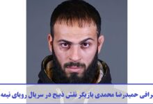 بیوگرافی حمیدرضا محمدی