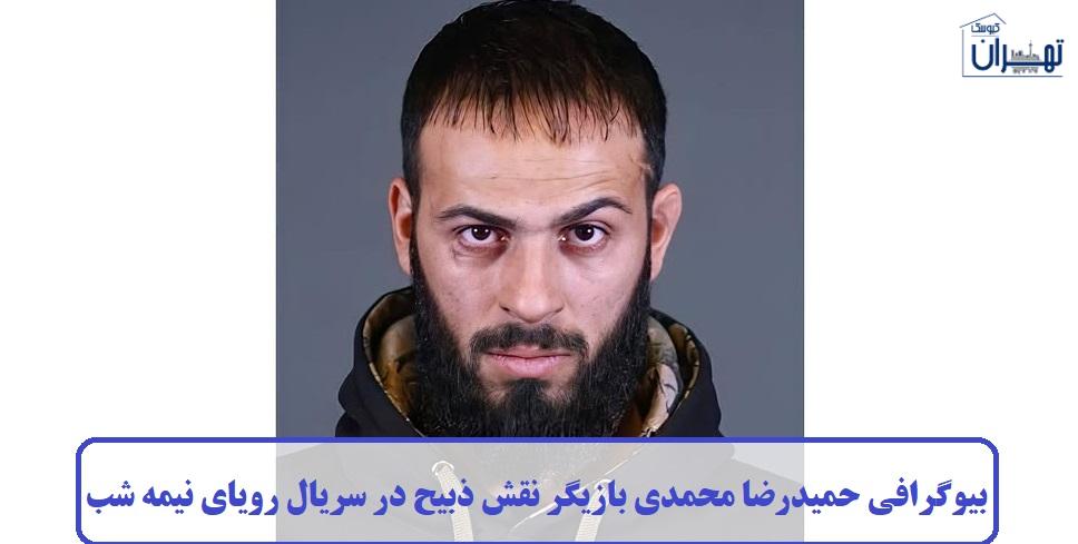 بیوگرافی حمیدرضا محمدی