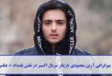 بیوگرافی آرین محمودی