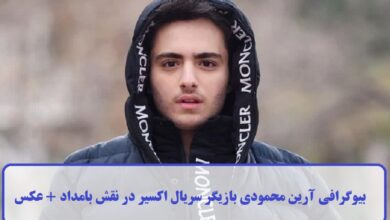 بیوگرافی آرین محمودی