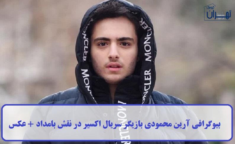 بیوگرافی آرین محمودی بیوگرافی آرین محمودی