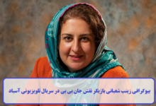 بیوگرافی زینب شعبانی