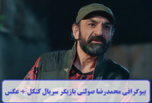 بیوگرافی محمدرضا صولتی