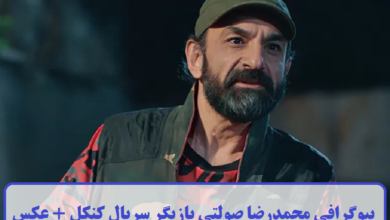 بیوگرافی محمدرضا صولتی