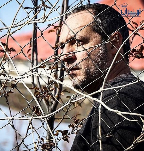 عکس های محمد صدیقی مهر عکس های محمد صدیقی مهر